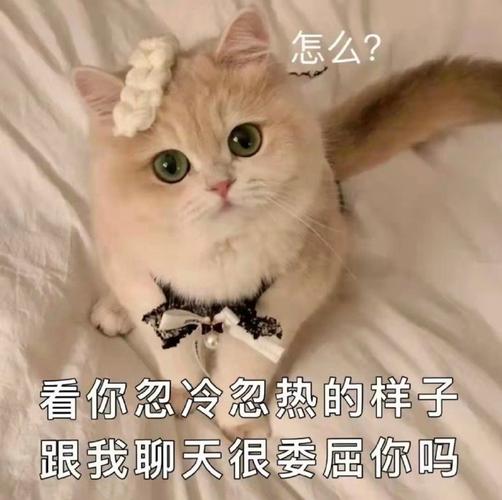 怎么？ 看你忽冷忽热的样子 跟我聊天很委屈你吗