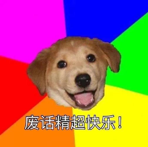 废话精超快乐！
