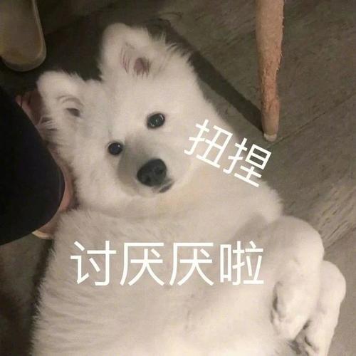 扭捏 讨厌厌啦