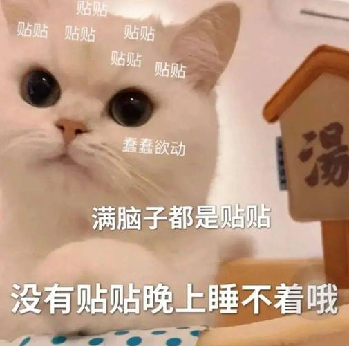 贴贴 贴贴 贴贴 贴贴 贴贴 贴贴 湯 蠢蠢欲动 满脑子都是贴贴 没有贴贴晚上睡不着哦