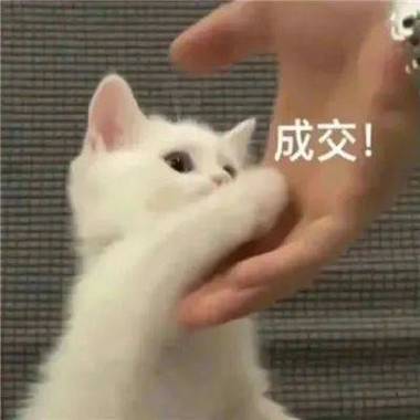 成交！