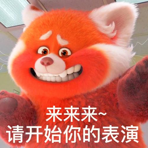 来来来 请开始你的表演