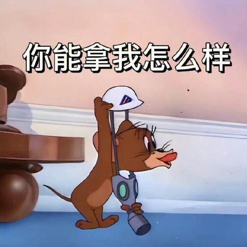 “笑爆了‘你能拿我怎么样’超魔性搞笑表情包全收录”
