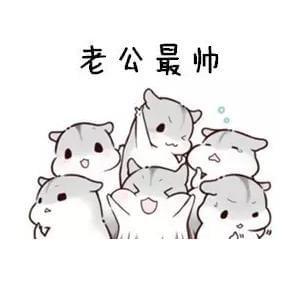 老公最帅：老司机污污撩妹表情包160张 轻松撩妹有图更无忧