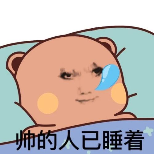 帅的人已睡着 最新斗图表情包更新