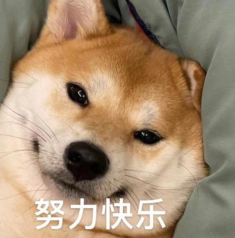 努力快乐