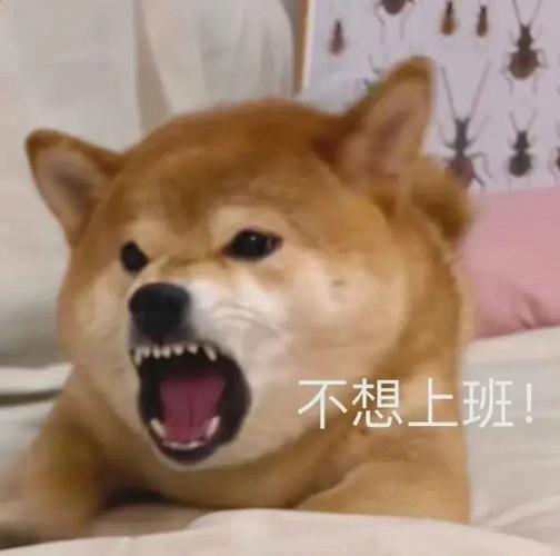 不想上班！