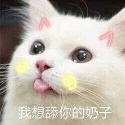 我想舔你的奶子