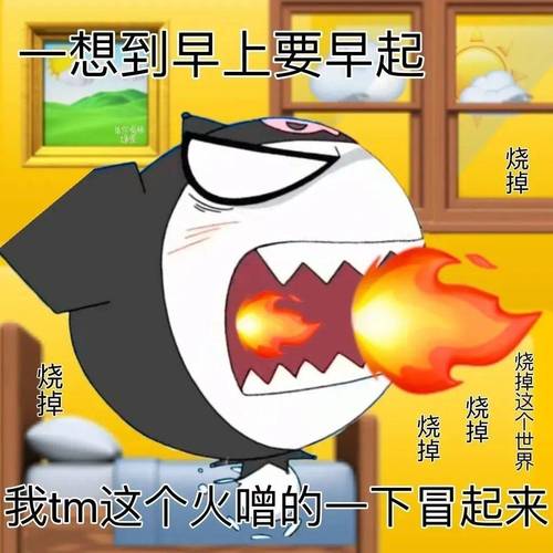 一想到早上要早起 烧掉 烧掉 烧掉 烧掉 烧掉 烧 掉 烧掉 我tm这个火赠的一下冒起来