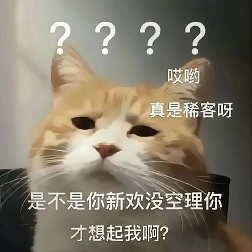 哎哟 真是稀客呀 是不是你新欢没空理你 才想起我啊？