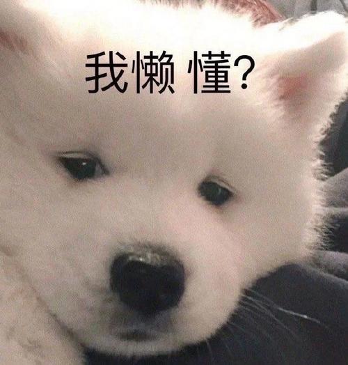 我懒懂？