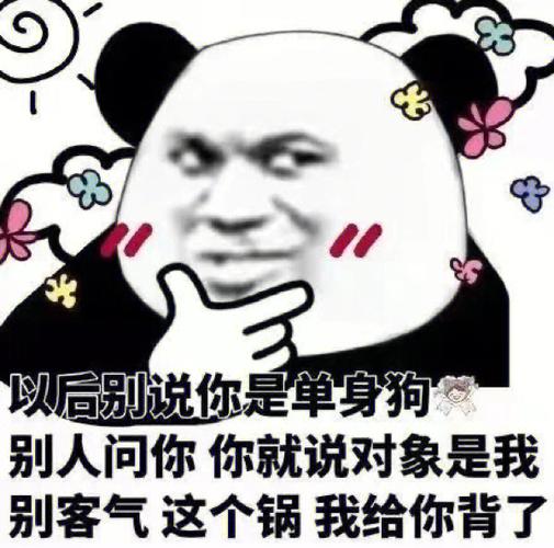 以后别说你是单身狗 别人问你你就说对象是我 别客气这个锅我给你背了