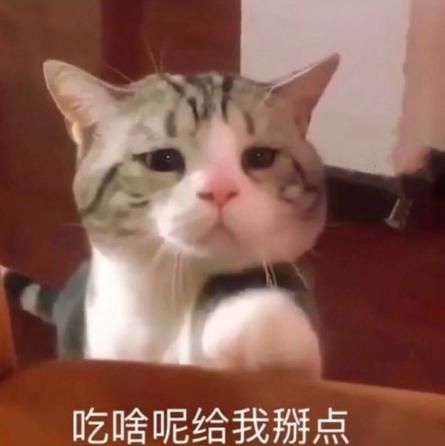 吃啥呢给我点