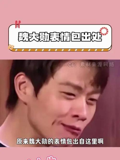 魏大勋表情包出处 素材来源网络 原来魏大勋的表情包出自这里啊
