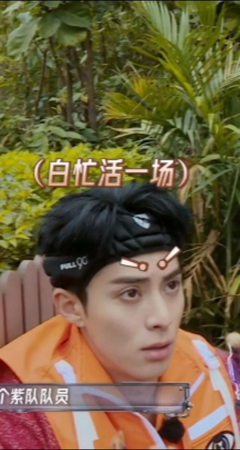 （白忙活一场） 个紫队队员