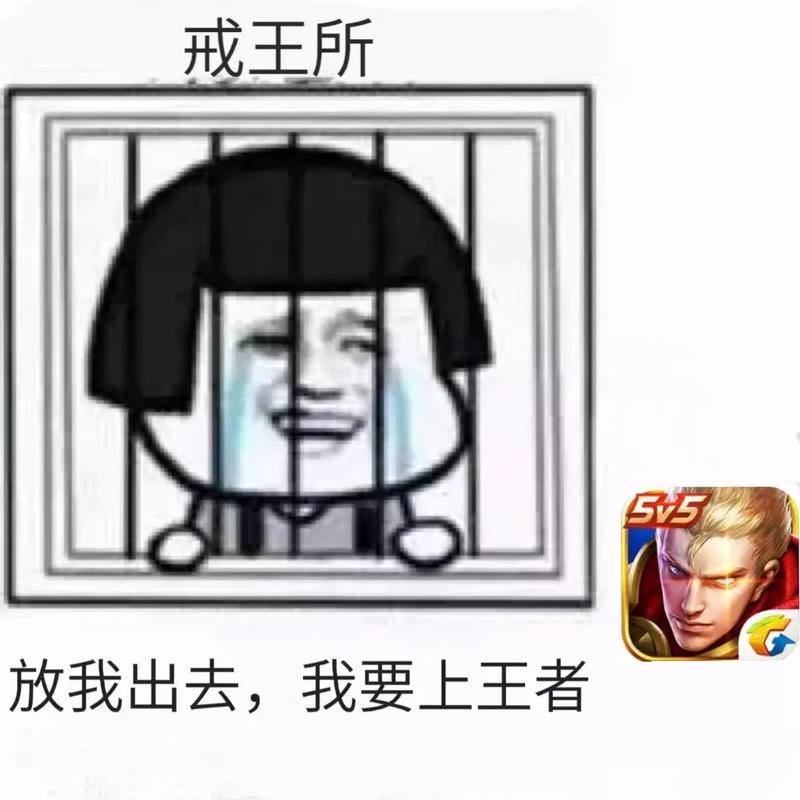 戒王所 放我出去，我要上王者