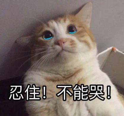 忍住！不能哭！