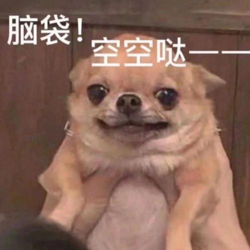 脑袋！ 空空哒