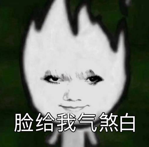 脸给我气煞白