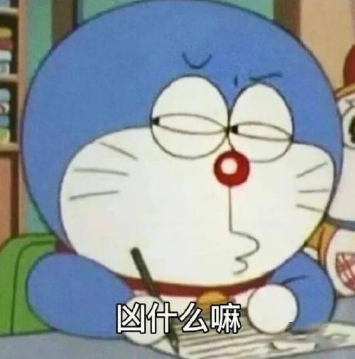 凶什么嘛