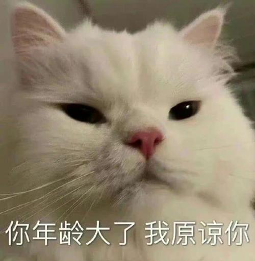 你年龄大了我原谅你