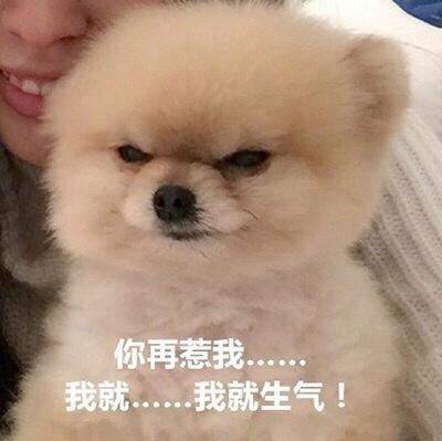 你再惹我 我就...我就生气！