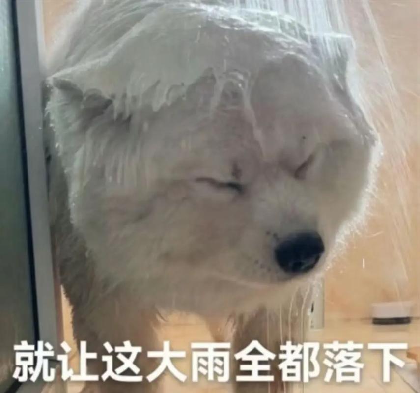 就让这大雨全都落下