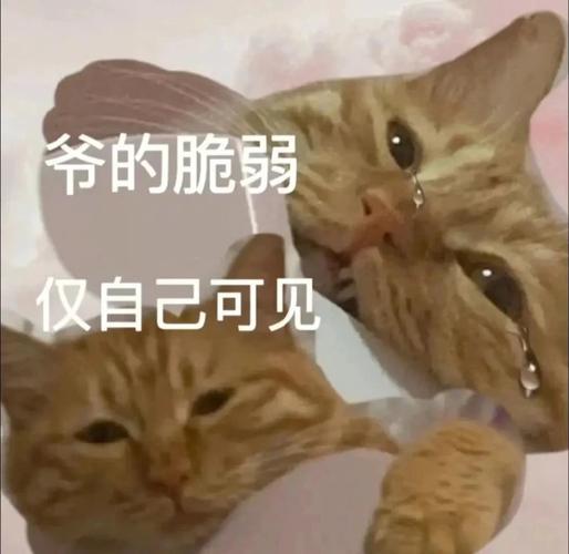 爷的脆弱 仅自己可见