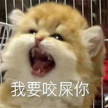 我要咬屎你