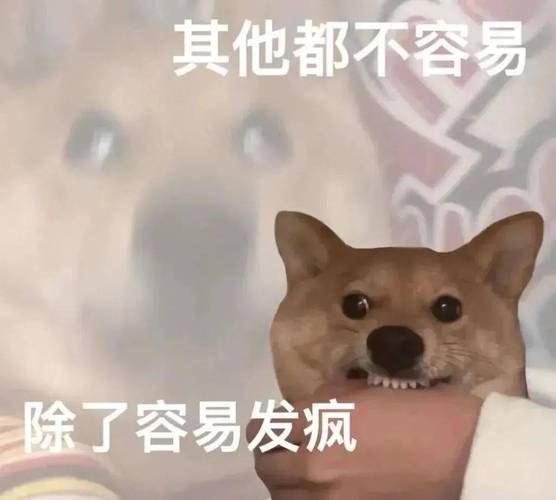 其他都不容易 除了容易发疯