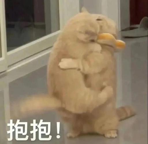 抱抱！