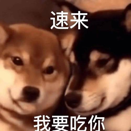 主速来 我要吃你 情侣熊猫头表情包  补充说明：超火星标情侣表情合集