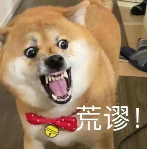 荒谬！