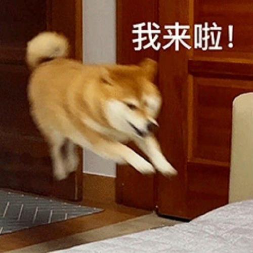 我来啦！