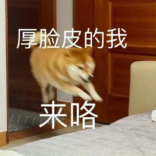 厚脸皮的我 来咯