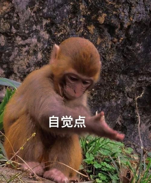 自觉点
