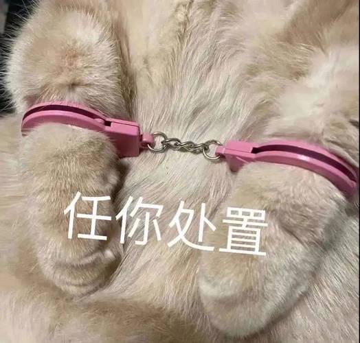 任你处置：熊猫头污污表情包合集