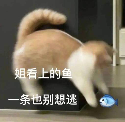 姐看上的鱼 一条也别想逃