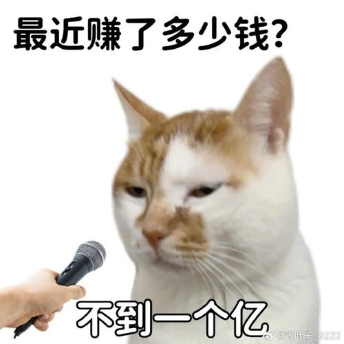 最近赚了多少钱？ 不到一个亿