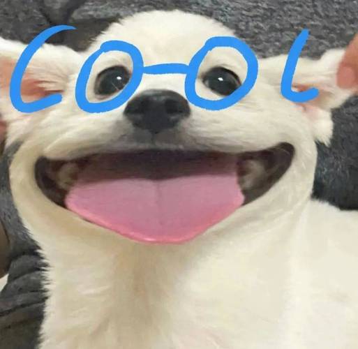 CO-OL