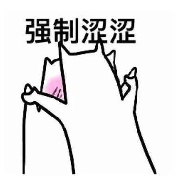 强制涩涩&熊猫头：正经表情包搞笑图片合集