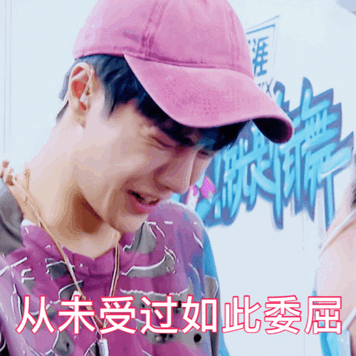 从未受过如此委屈