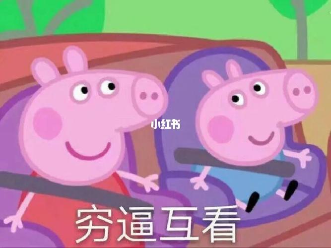 穷逼互看：最搞笑的表情包合集