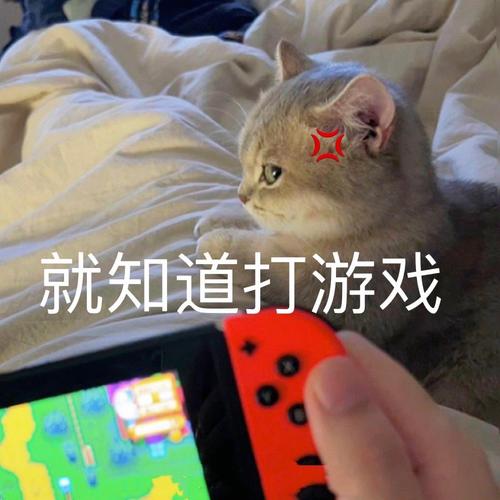 就知道打游戏