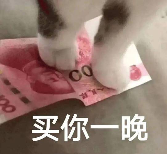 X站：买你一晚会微信表情包下载与分享