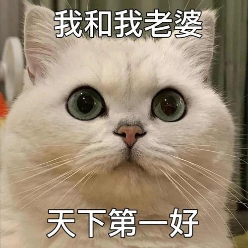 我和我老婆 天下第一好