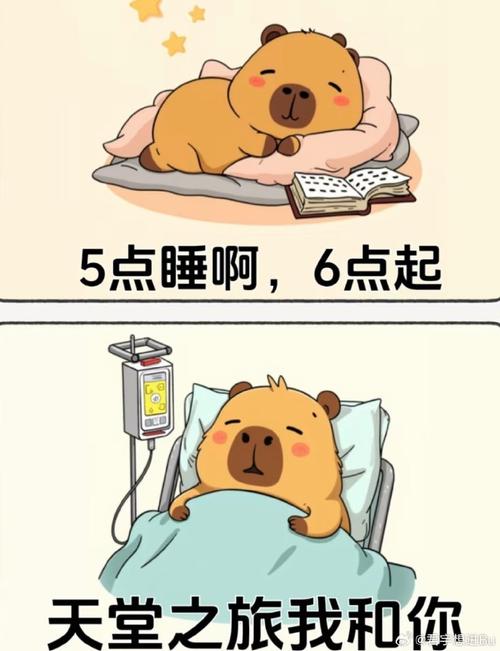 5点睡啊，6点起 天堂之旅我和你
