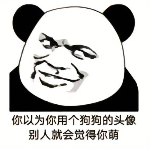 你以为你用个狗狗的头像 别人就会觉得你萌