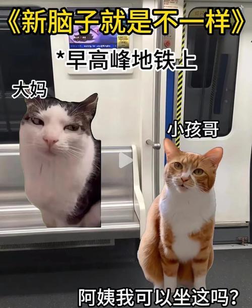 《新脑子就是不一样》 早高峰地铁上 大妈 小孩哥 阿姨我可以坐这吗？