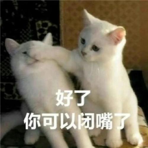 好了 你可以闭嘴了